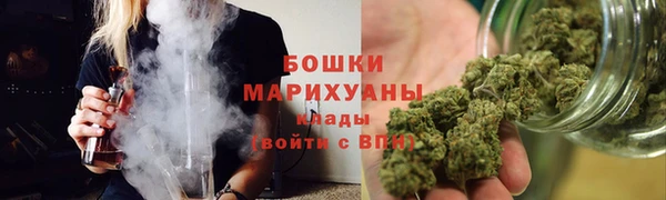 ГАЛЛЮЦИНОГЕННЫЕ ГРИБЫ Кукмор