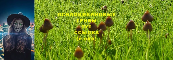 молекула духа Куйбышев