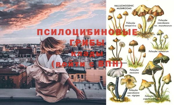 мяу мяу мука Кулебаки