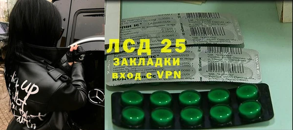 ГАЛЛЮЦИНОГЕННЫЕ ГРИБЫ Кукмор