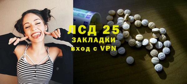мяу мяу мука Кулебаки