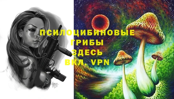 мяу мяу мука Кулебаки