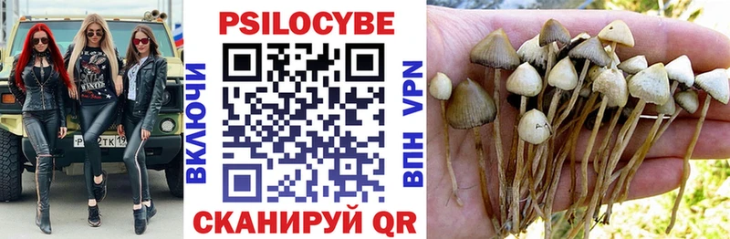 Купить где  Энгельс  Псилоцибиновые грибы Magic Shrooms